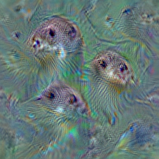 n02444819